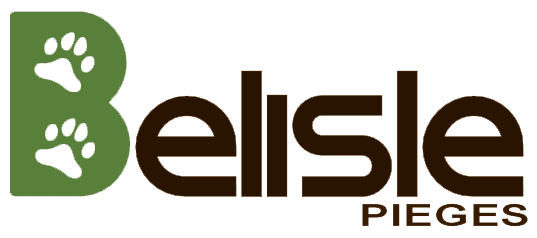 Logo Belisle