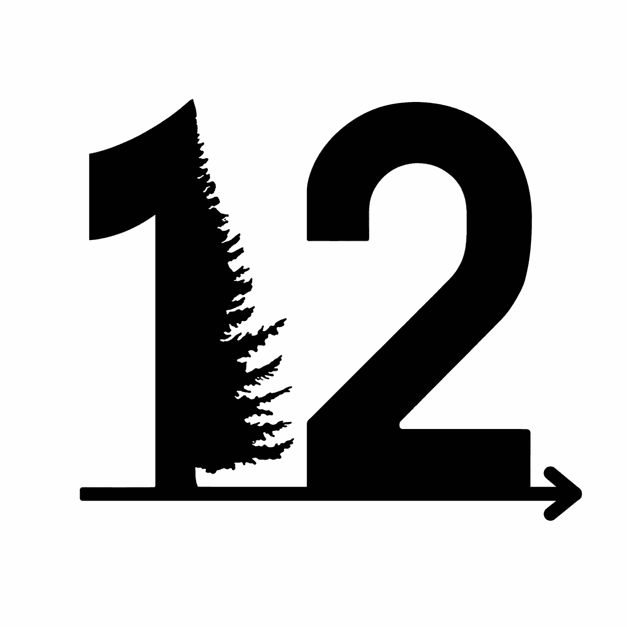 Logo Twelve Feet Up